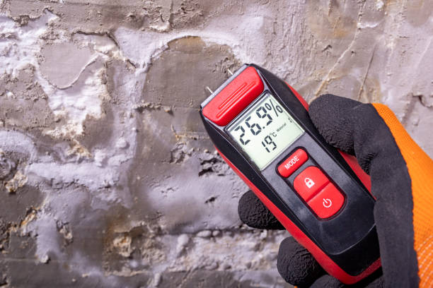 Best Certified Mold Removal  in Homer, LA