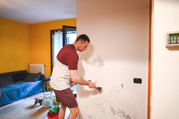 Best Mold Remediation Experts  in Homer, LA
