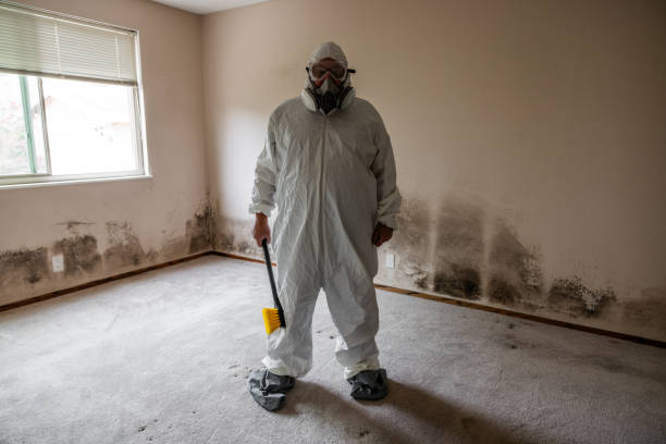 Best Home Mold Removal  in Homer, LA